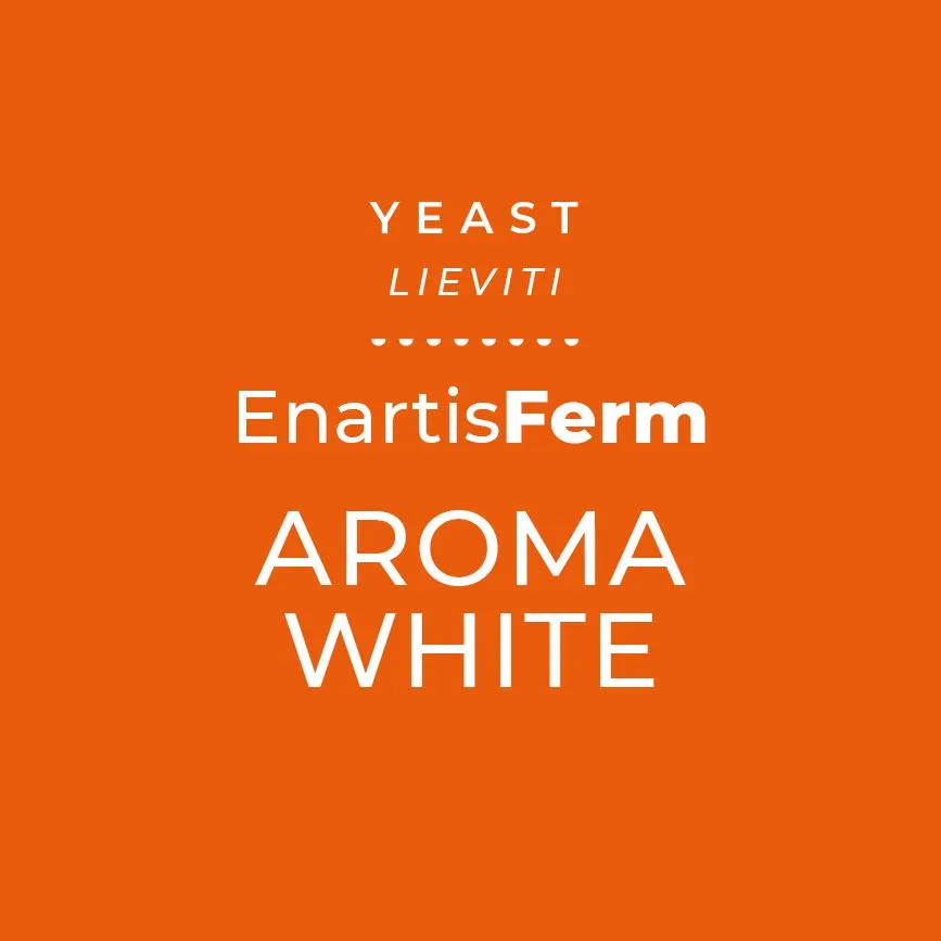 [EPC140] ENARTIS FERM AROMA WHITE  0,5kg