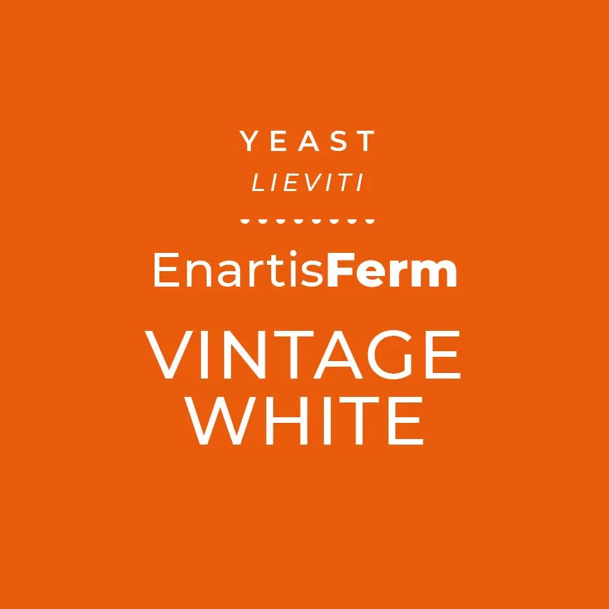 [EPC143] ENARTIS FERM VINTAGE WHITE  0,5kg