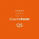 ENARTIS FERM Q5  0,5kg