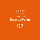 ENARTIS FERM Q9  0,5kg