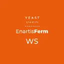 ENARTIS FERM WS  0,5kg